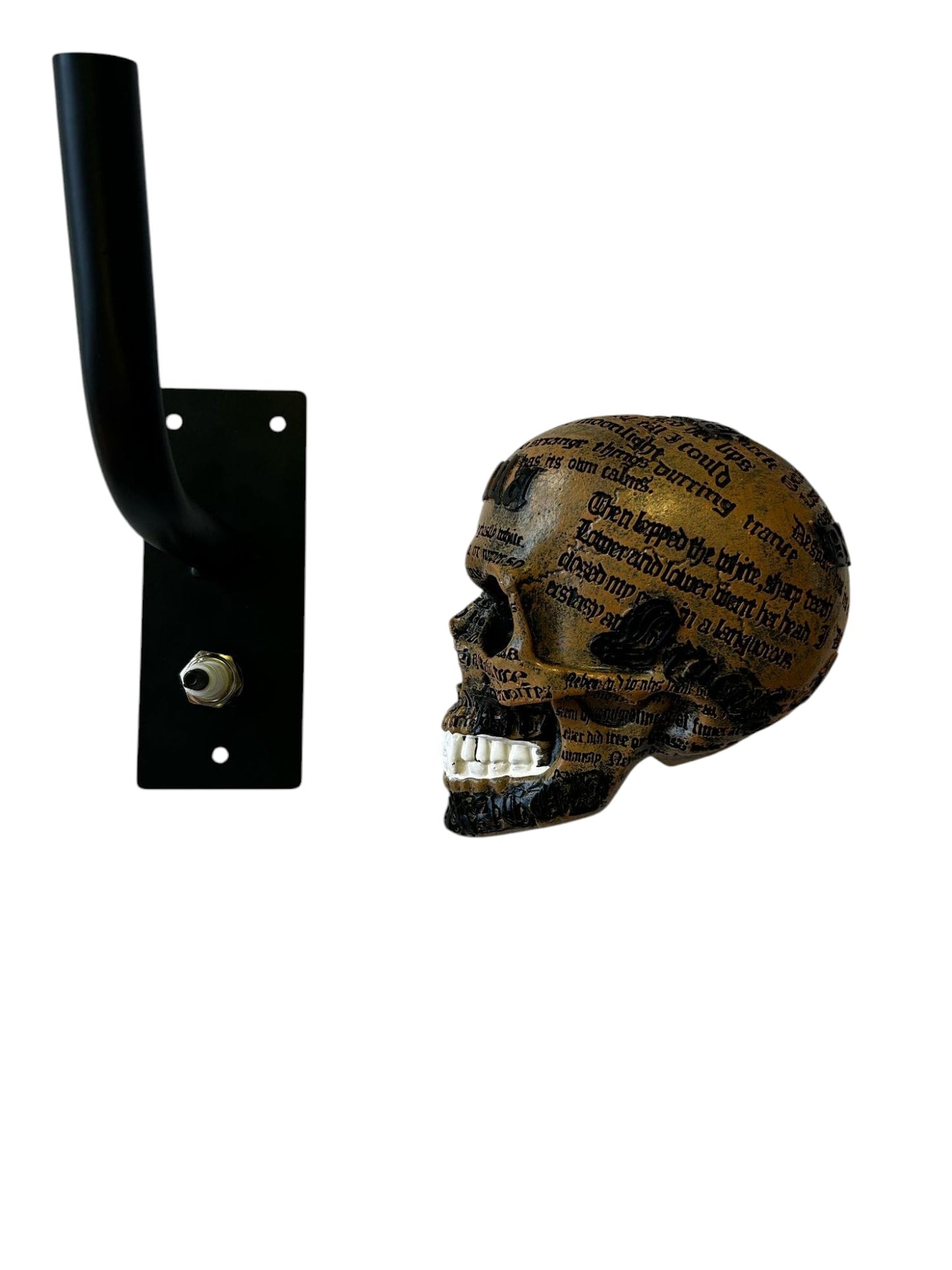Dracula Helmet Holder with Wall Mount